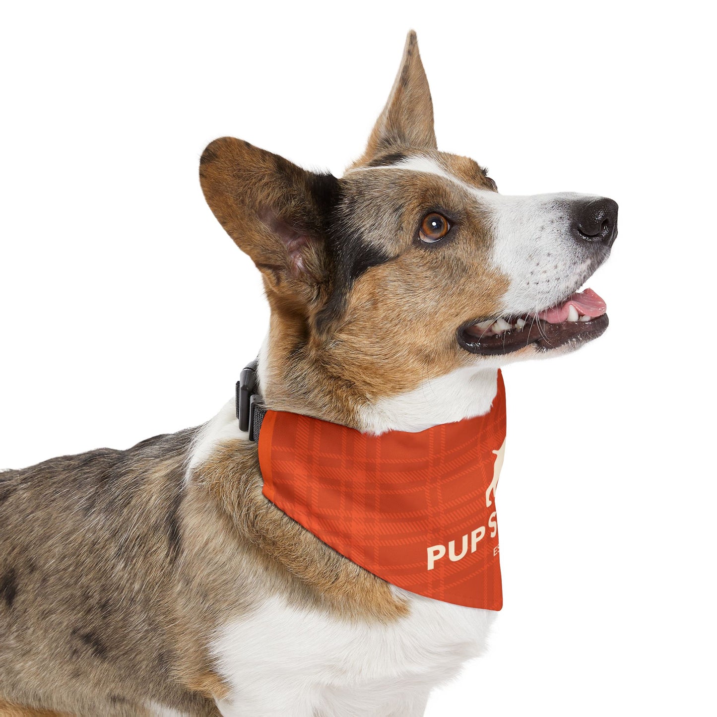 Orange Plaid Pet Bandana Collar