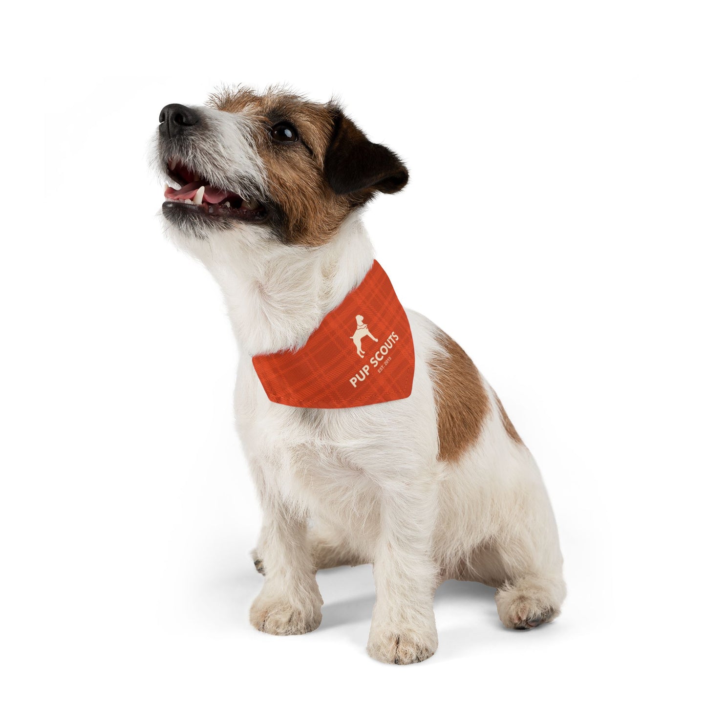 Orange Plaid Pet Bandana Collar