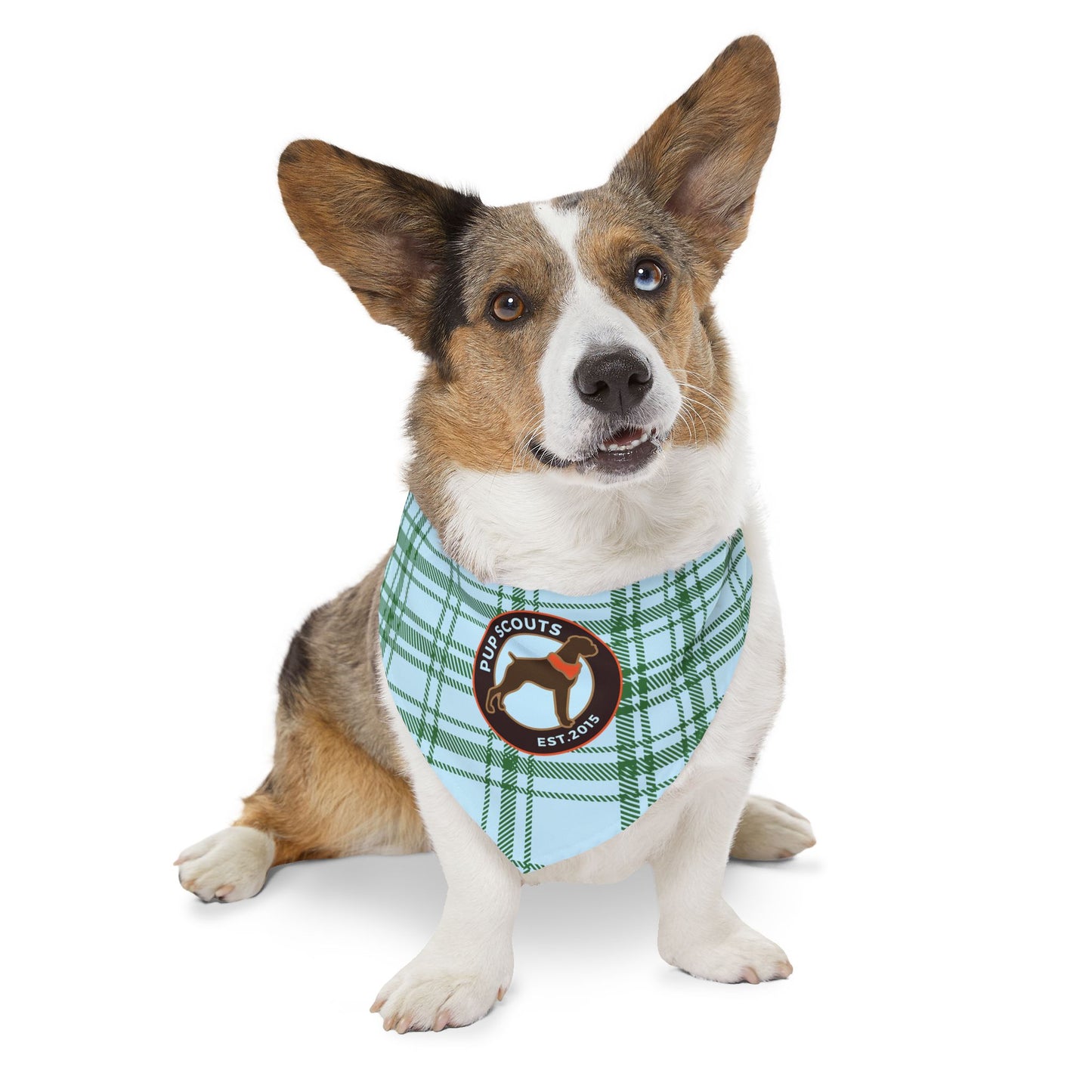 Blue Plaid Pet Bandana Collar