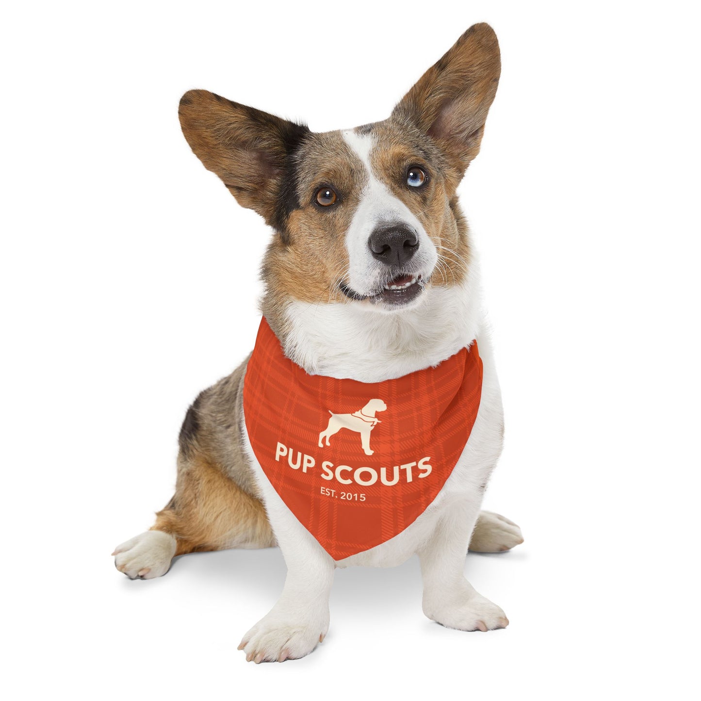 Orange Plaid Pet Bandana Collar