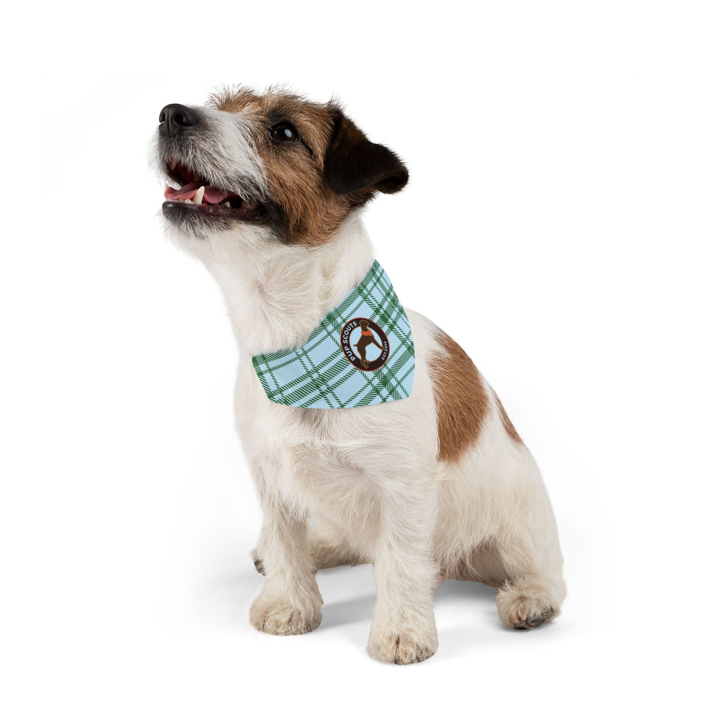 Blue Plaid Pet Bandana Collar