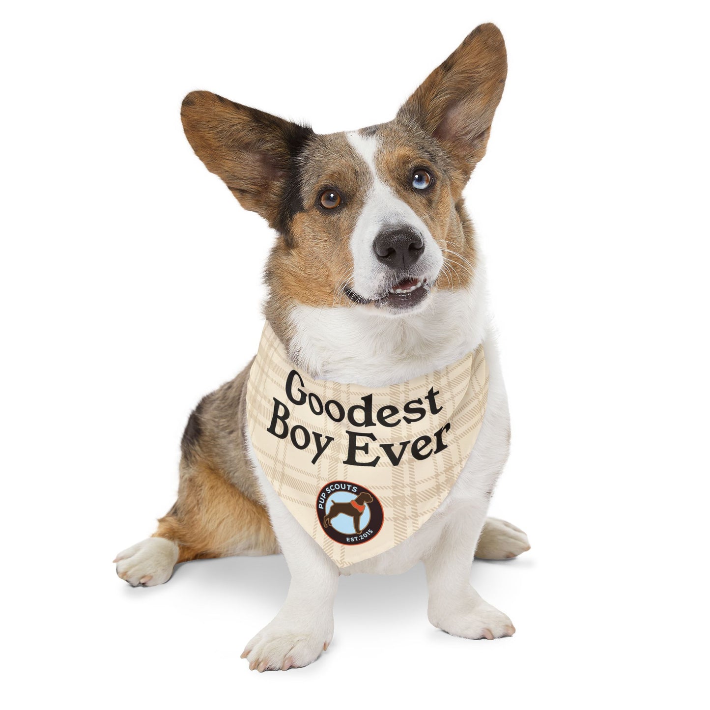 Goodest Boy Pet Bandana Collar