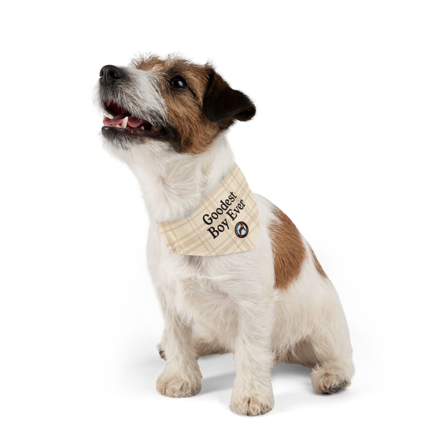 Goodest Boy Pet Bandana Collar