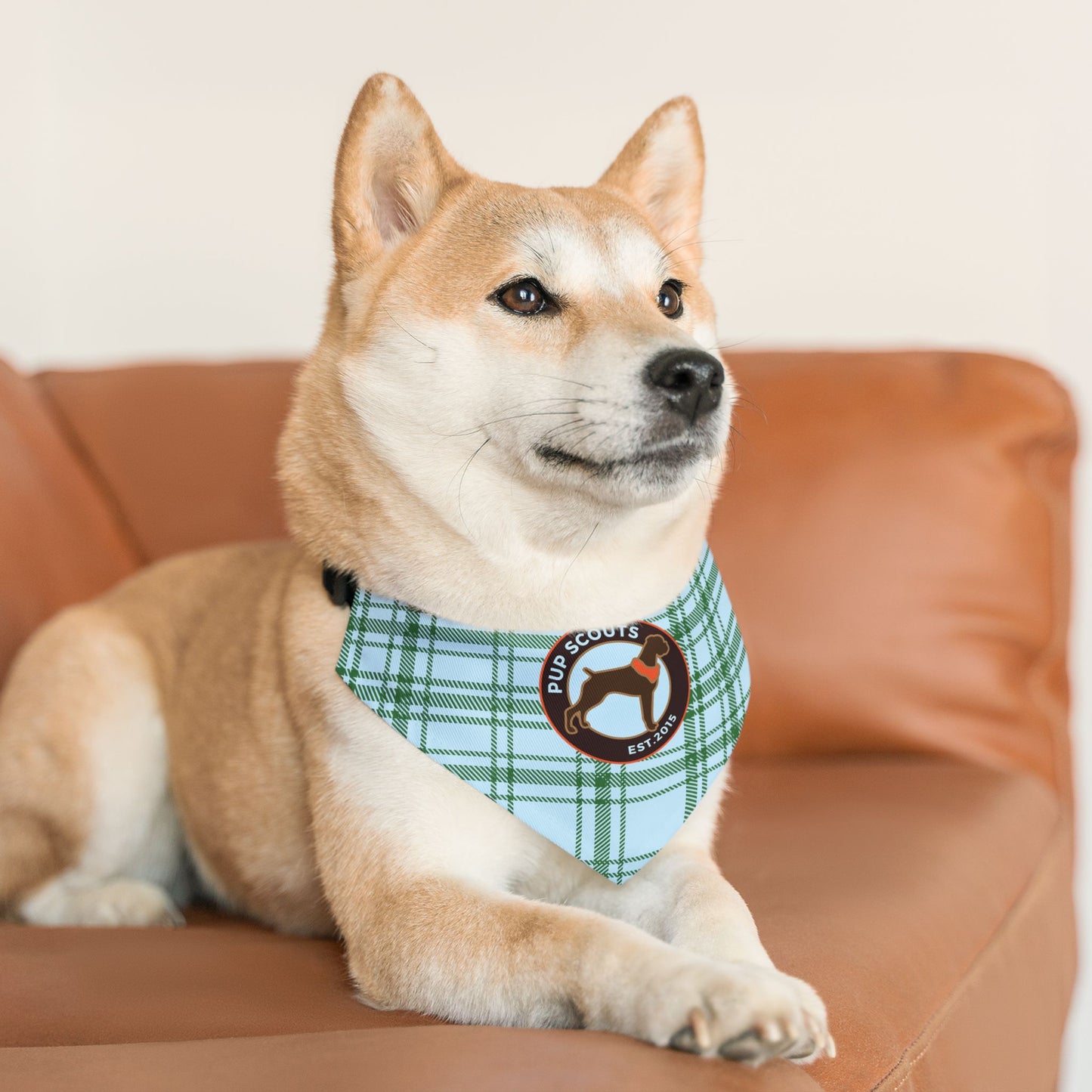 Blue Plaid Pet Bandana Collar
