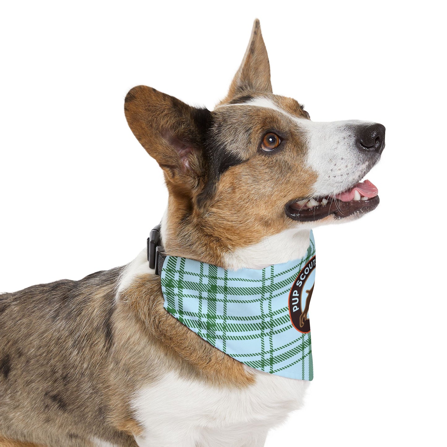 Blue Plaid Pet Bandana Collar