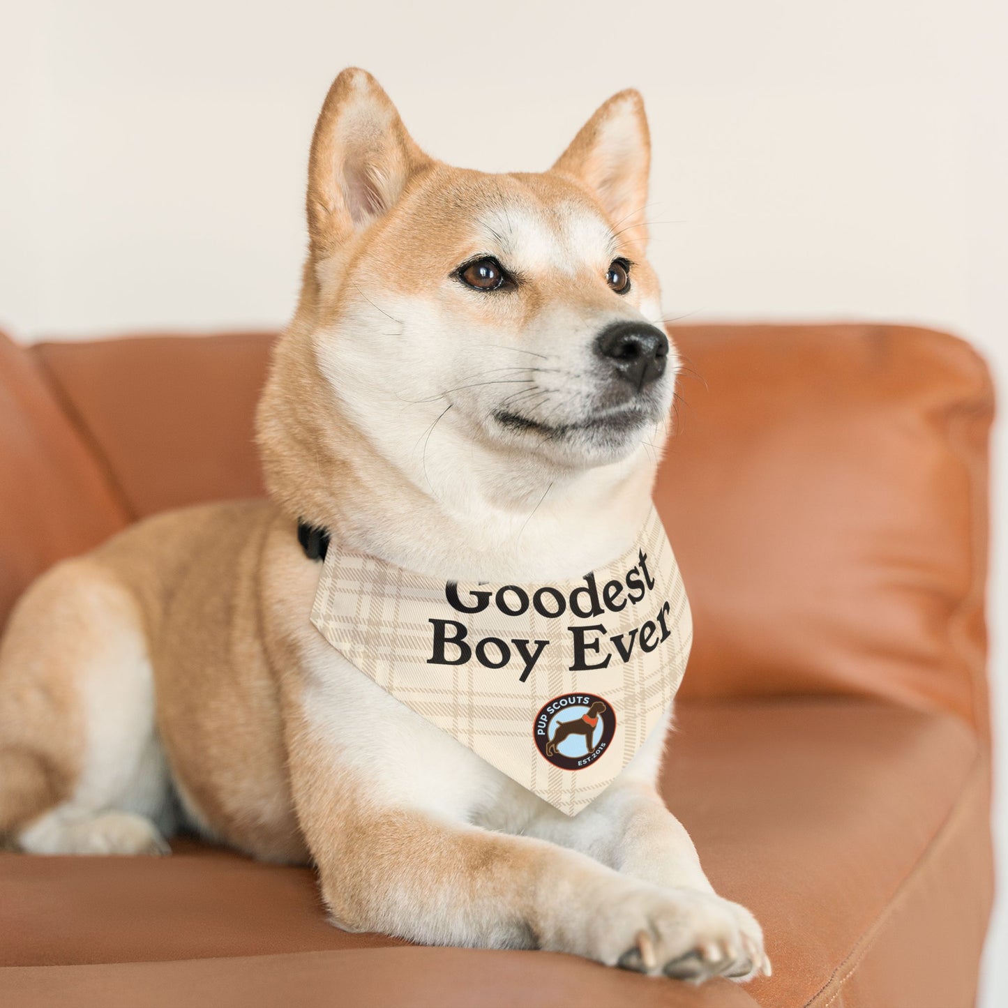 Goodest Boy Pet Bandana Collar