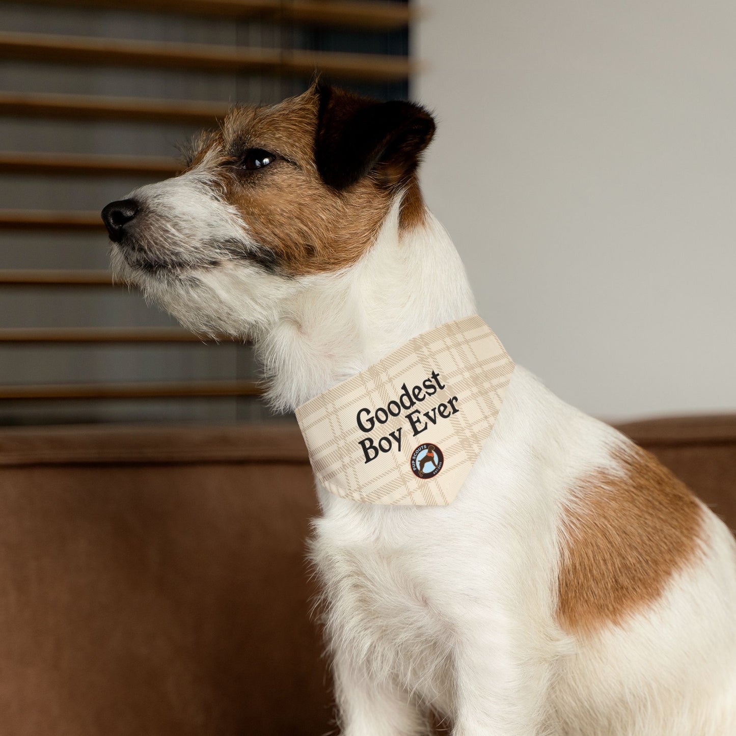 Goodest Boy Pet Bandana Collar