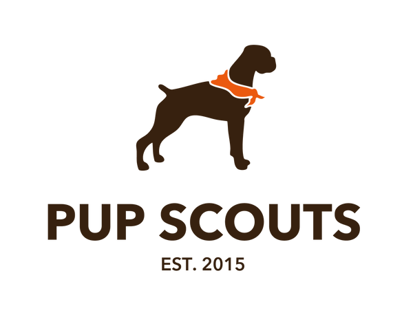 Pup Scouts